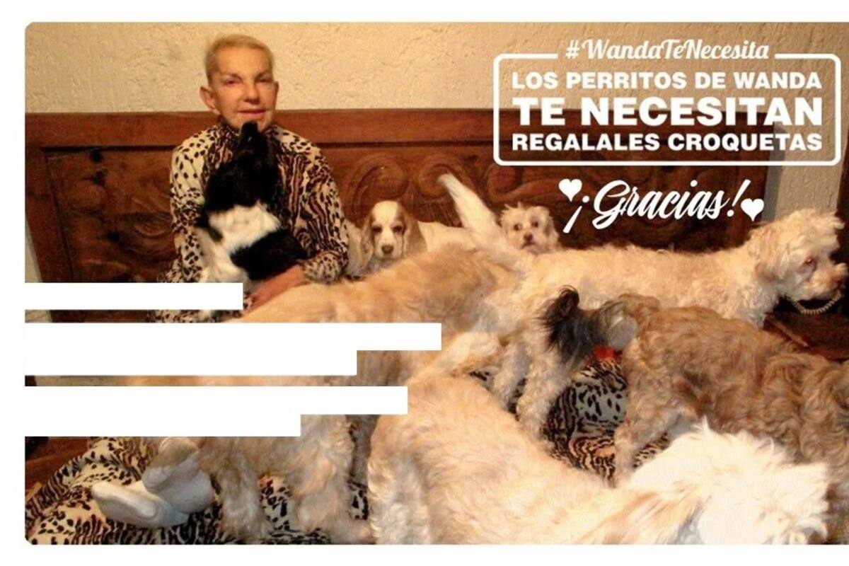 Wanda Seux, un ser amoroso con los animales: Regina Orozco