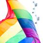 Marcha LGBTIQ+ busca visibilizar trabajo de organizaciones y espacios vinculados a la diversidad sexual, señala activista