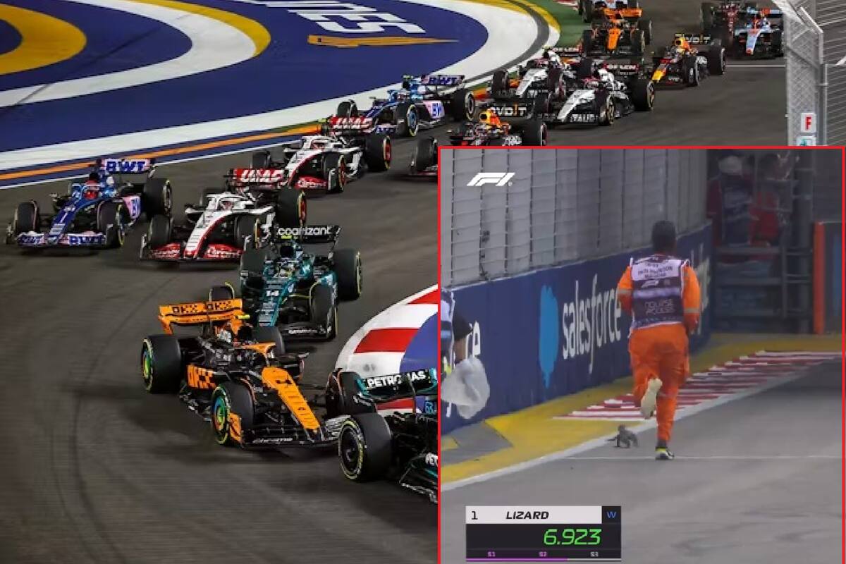 VIDEO: Lagarto interrumpe el Gran Premio de Singapur y se convierte en sensación viral