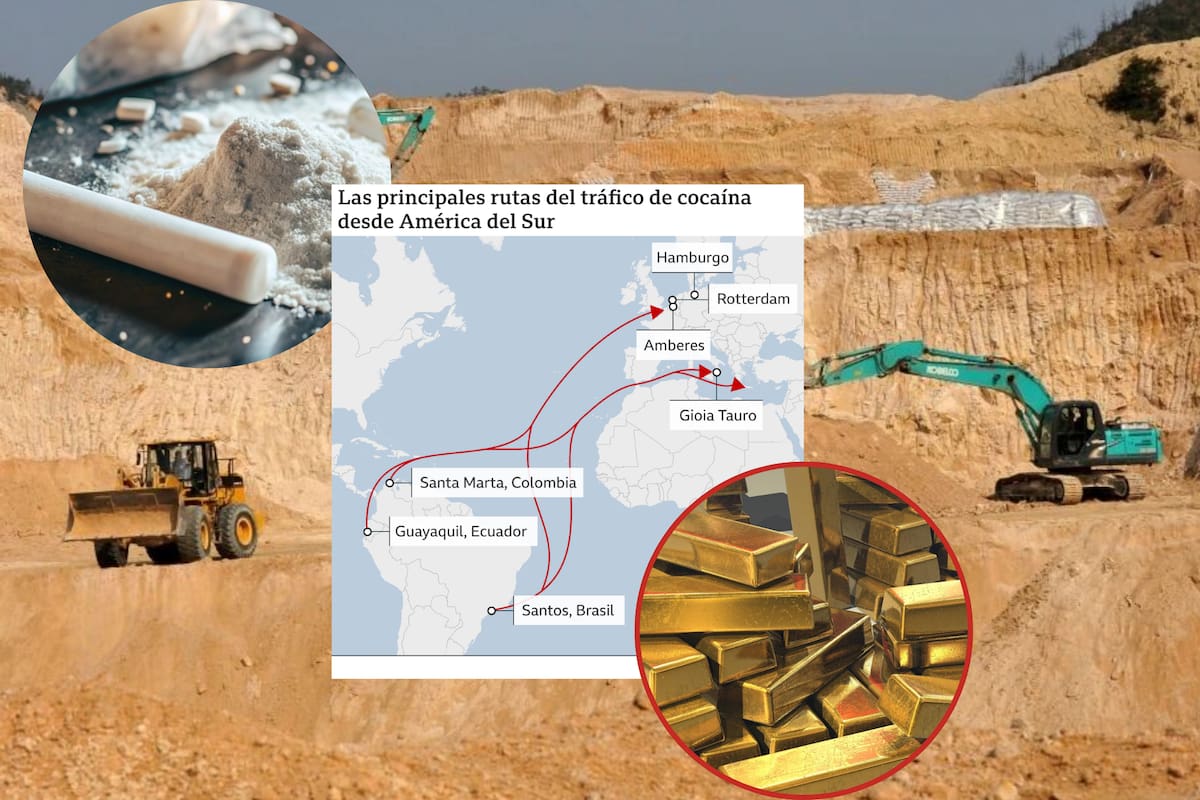 Mientras la cocaína peruana apunta cada vez más a Europa, la minería ilegal de oro se convierte en el vehículo ideal para lavar dinero del narcotráfico y consolidar la llamada narco minería en la región amazónica
