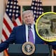 Precio del dólar ‘arrasa’ y ‘tumba’ al peso mexicano: así cotiza este martes 12 de mayo