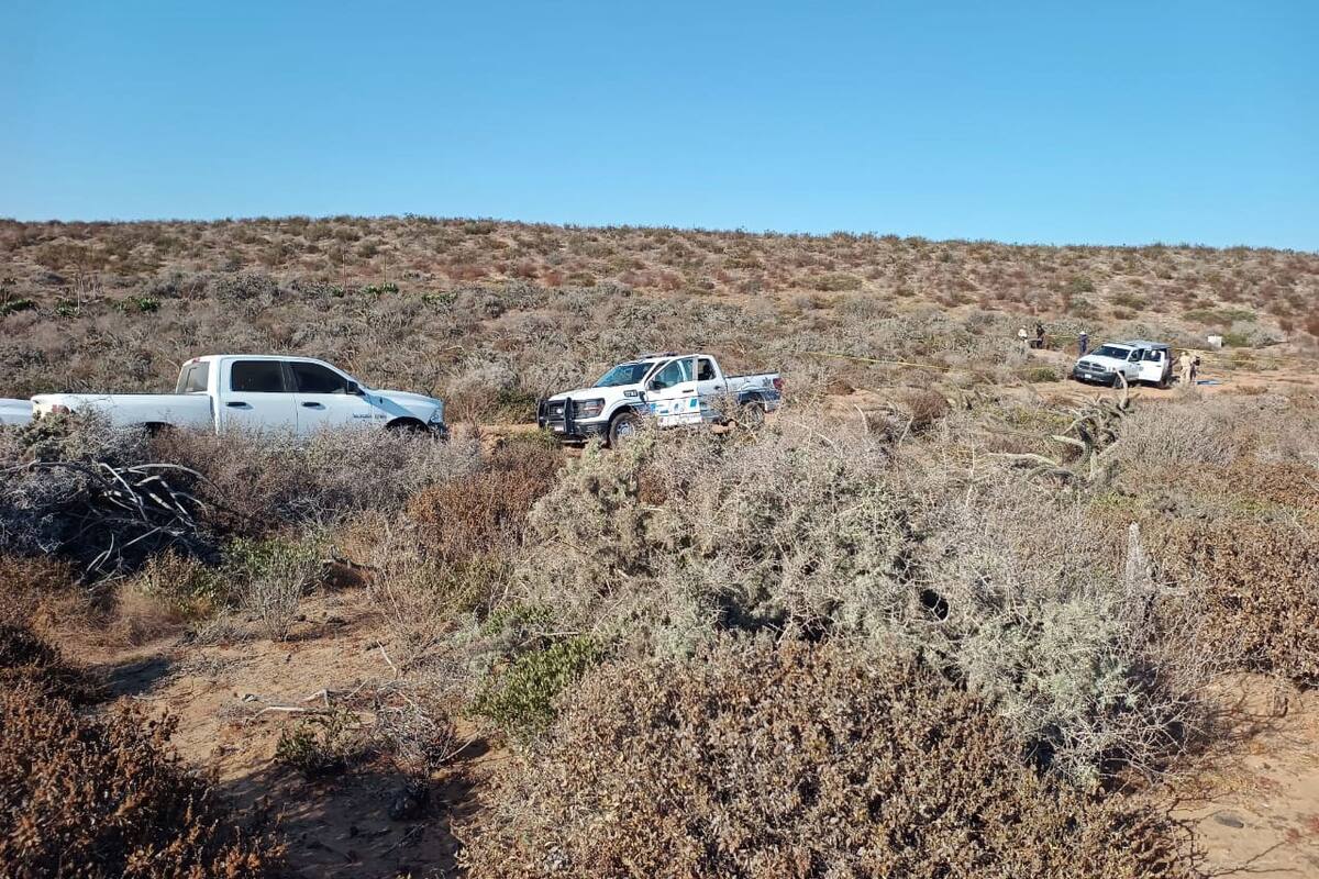 Hallan colectivos restos humanos en San Quintín