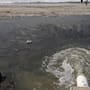 Advierten contaminación constante en playas por descargas residuales