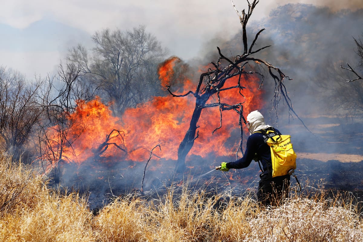 La mayoría de los incendios forestales en Sonora tienen origen humano, según datos oficiales. FOTO: BANCO DIGITAL