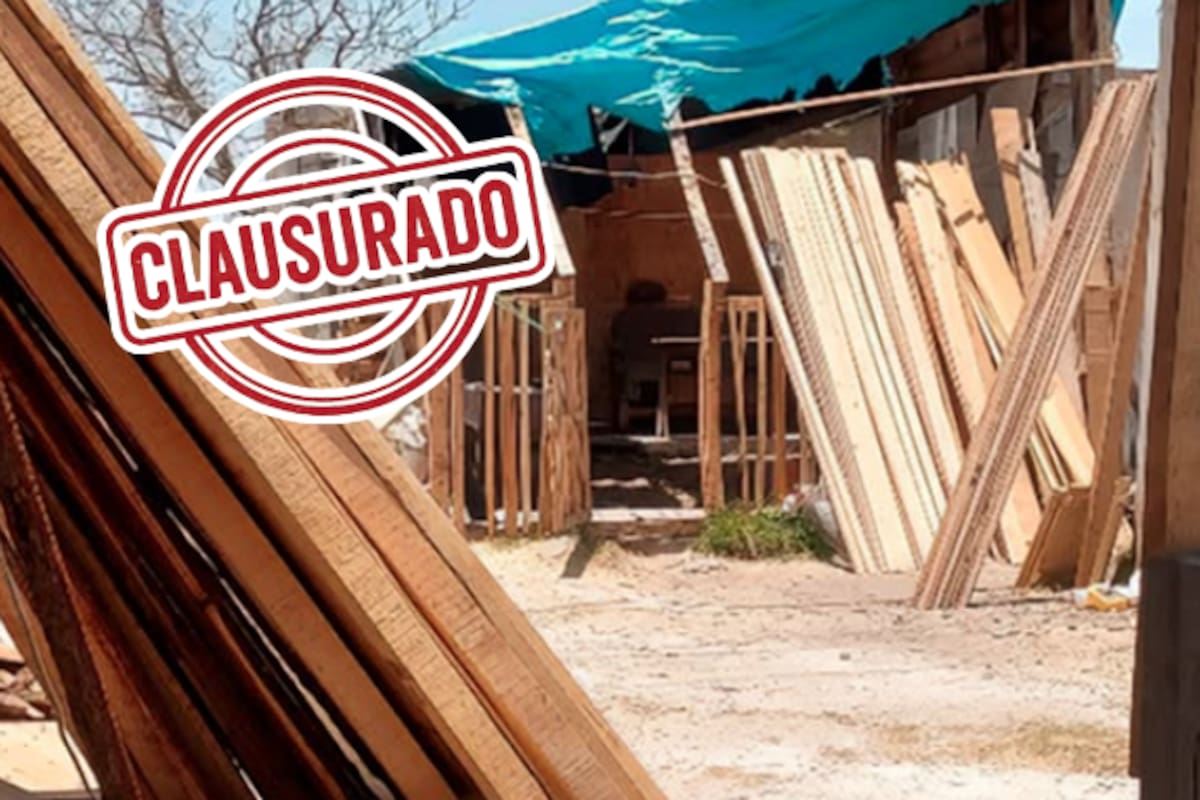 Clausuran carpintería en Valle de Bravo por operar sin permiso ambiental