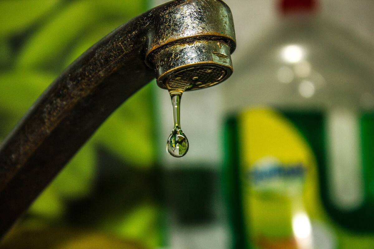 Bacteria hallada por accidente extrae energía del metal y ha resuelto un misterio de la fontanería