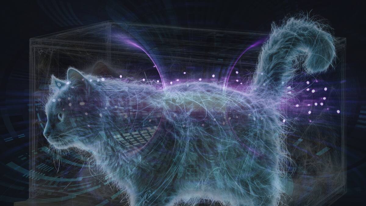 El gato de Schrödinger: de paradoja mental a experimentos reales con luz cuántica. Foto: Especial