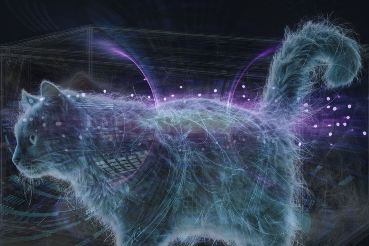 El gato de Schrödinger pasó de ser una paradoja mental a ser una realidad con experimentos usando la luz cuántica