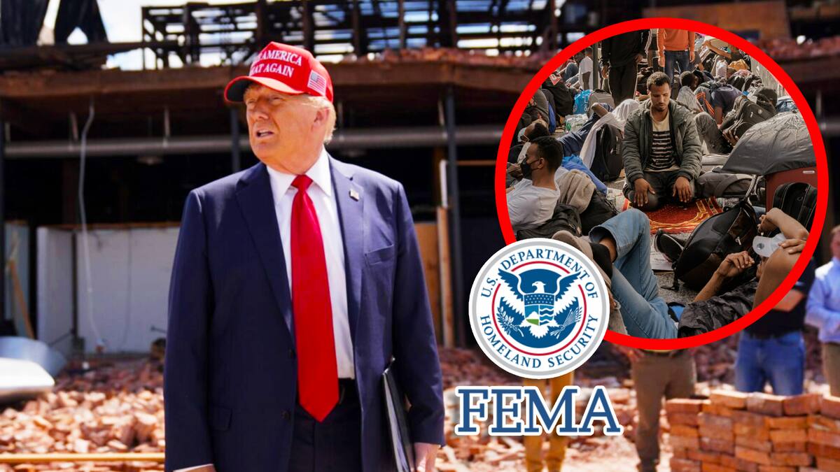 Elon Musk y Trump arremeten contra FEMA por gastos en hoteles para migrantes. FOTO: Especial