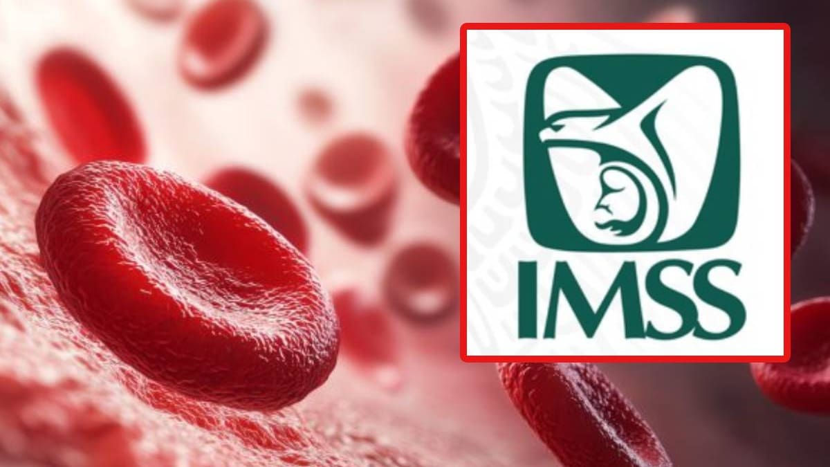 IMSS lidera terapias innovadoras para reducir los sangrados hasta 80% en pacientes con hemofilia y de tener de 52 eventos de este tipo a menos de 5 por año