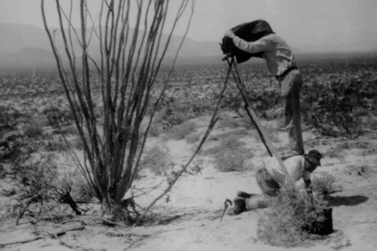 Celebrarán 150 años del Museo de Historia Natural de San Diego