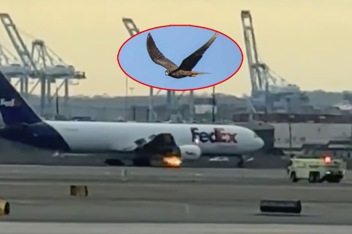 Se incendia avión de FedEx tras choque con pájaro, esto se sabe