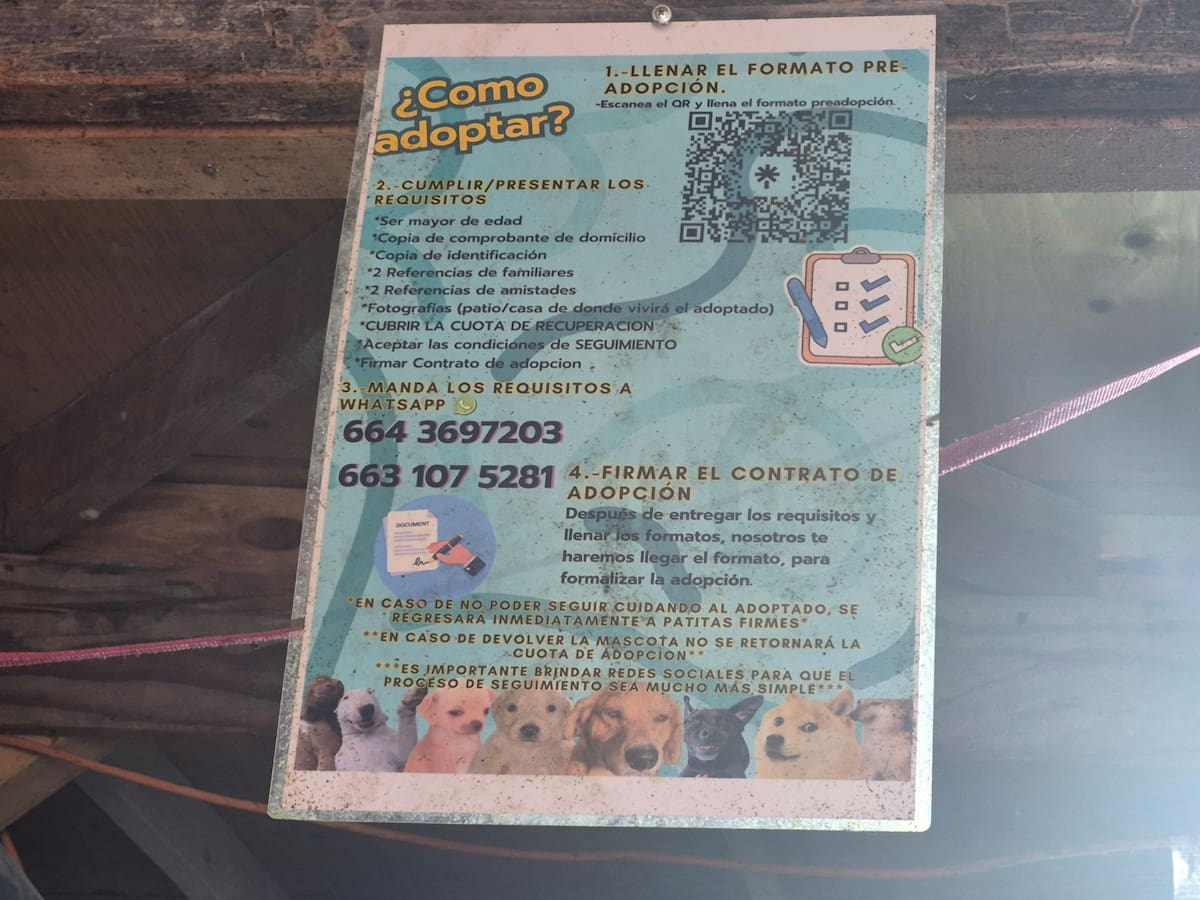 La cofundadora de Patitas Firmes afirmó que el refugio perdió contacto con la persona que adoptó a ambos perros y ahora solicita comprobar físicamente que se encuentran en buen estado.
Fotos: Cortesía.