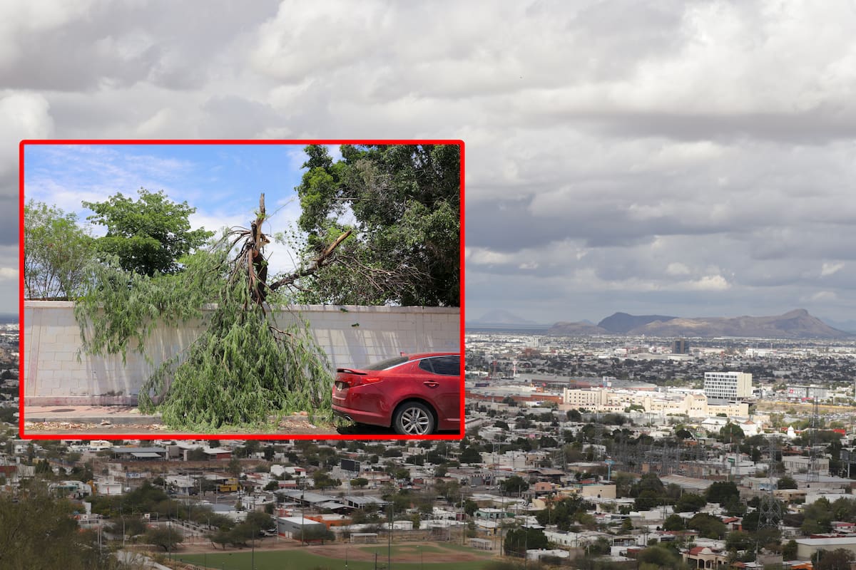 Pronóstico del clima para Hermosillo: Posible tormenta de viento