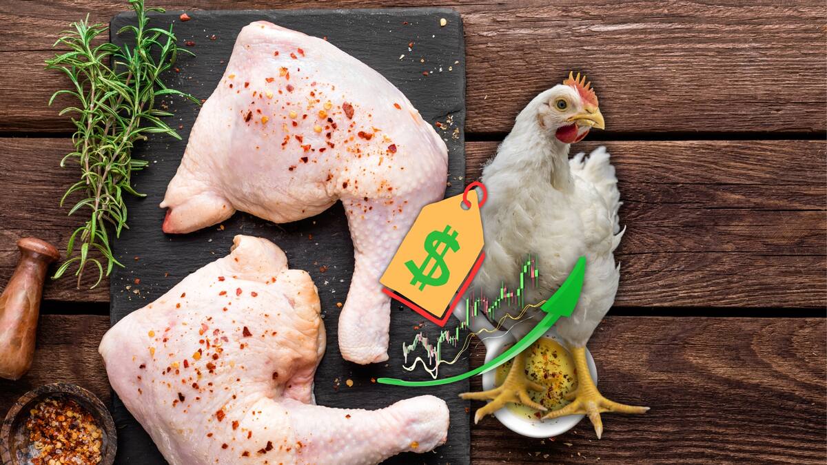 Precio del pollo se dispara por extorsiones.