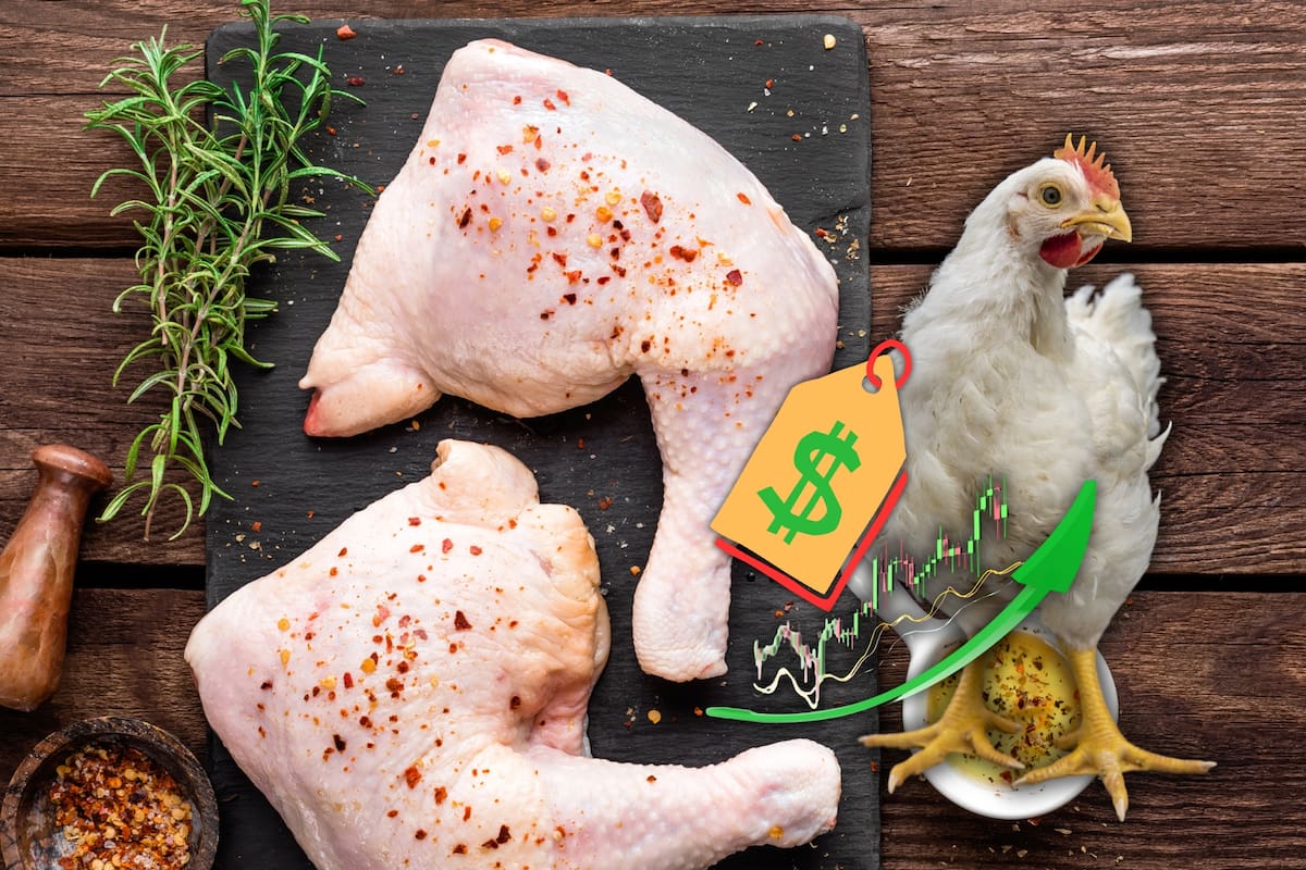 El precio del pollo está por las nubes y alcanza récord del más caro desde que se tiene registro en México; la pechuga llega a los 138 pesos