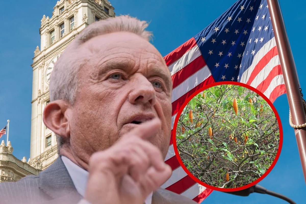 Robert F. Kennedy Jr. y aliados de Trump impulsan terapias con psicodélicos para combatir la ansiedad y la depresión pese a revés de la FDA