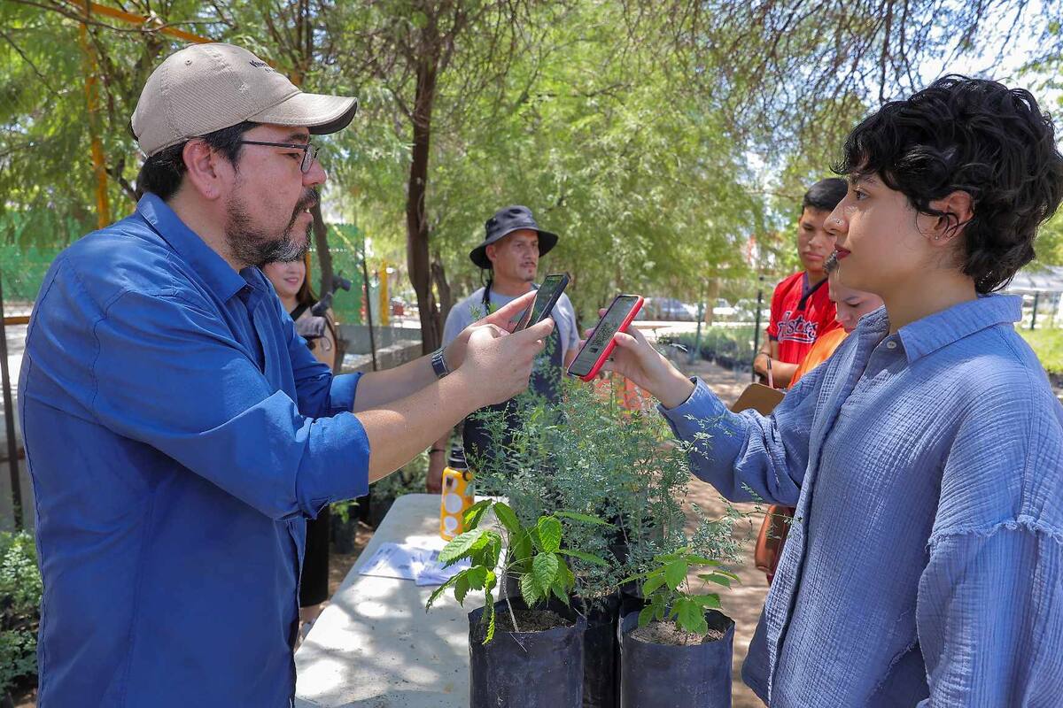 Hermosillo fomenta el reciclaje: Entregarán árboles a cambio de materiales reciclables