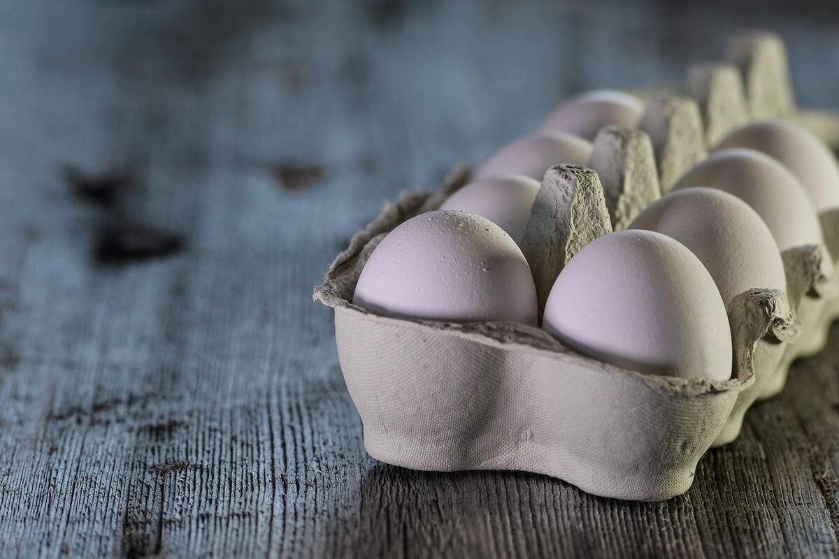 Día Mundial del huevo: Mitos sobre su consumo y producción en México