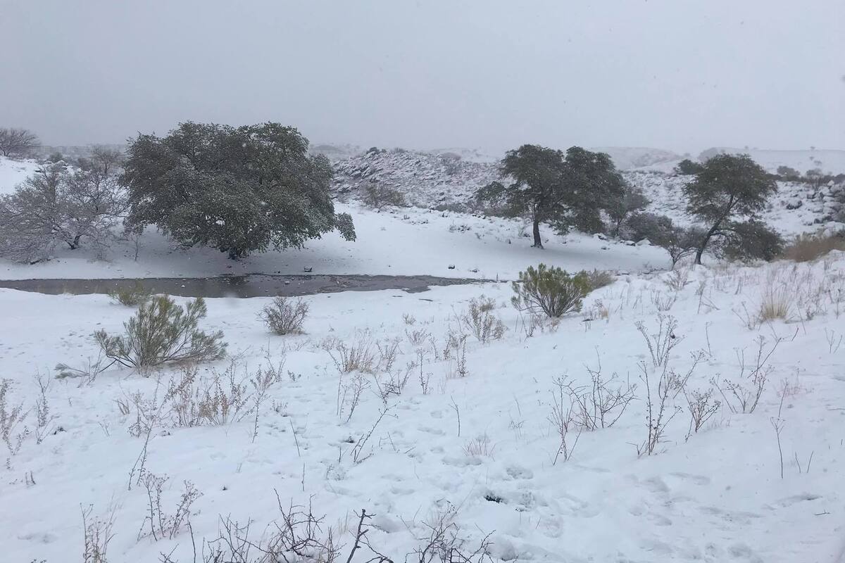 Suspenden operaciones comerciales en el Recinto Fiscal de Nogales por nevada