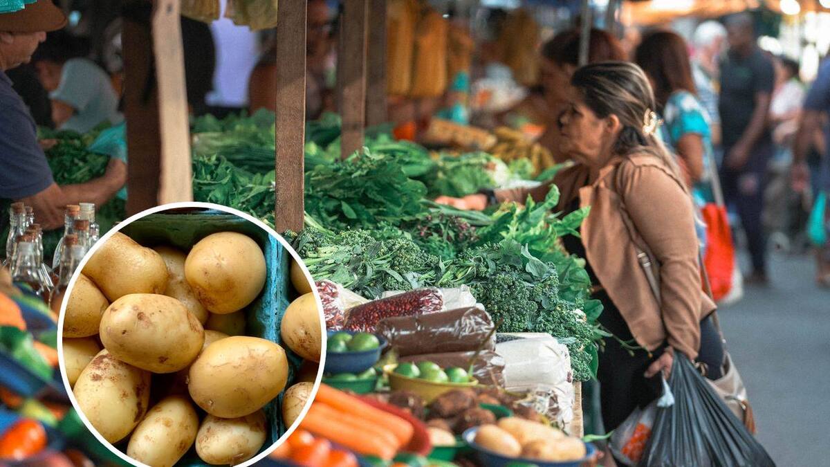 El precio de la papa subió hasta 101.5% en un año por menor producción, clima y mayores costos; especialistas advierten que el alivio para los consumidores todavía tardará