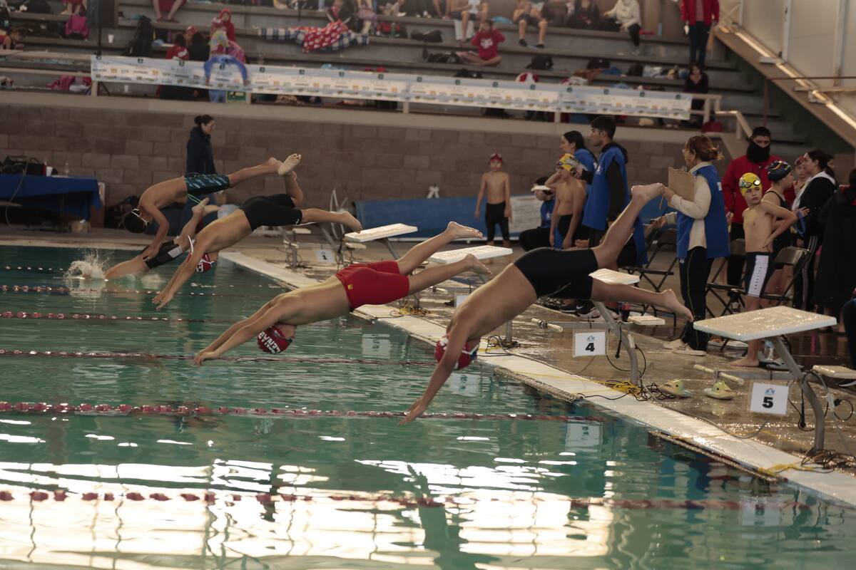 Se impone Cenag en Estatal de Natación Curso Corto 2024