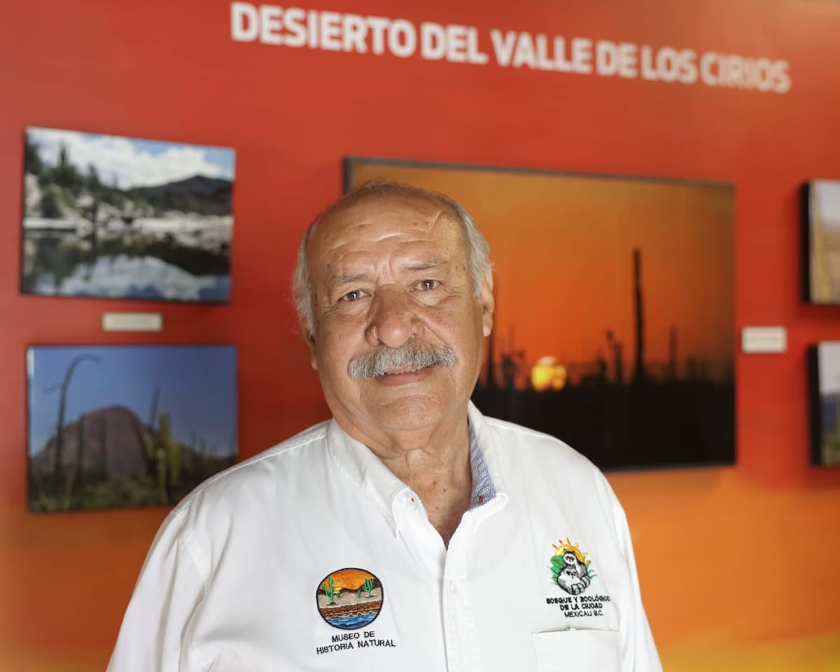 El Museo del Bosque de la Ciudad inauguró una exposición dedicada a este emblemático animal para difundir su historia, biología y conservación. Foto: Javier Gallegos