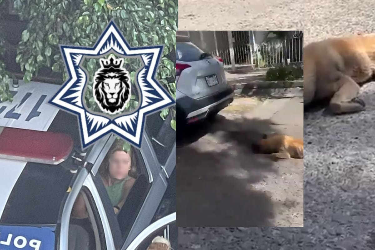 Viralizan foto en patrulla de mujer que arrastró a un perrito con su auto en Tlaquepaque, ¿Qué pasó con el can?