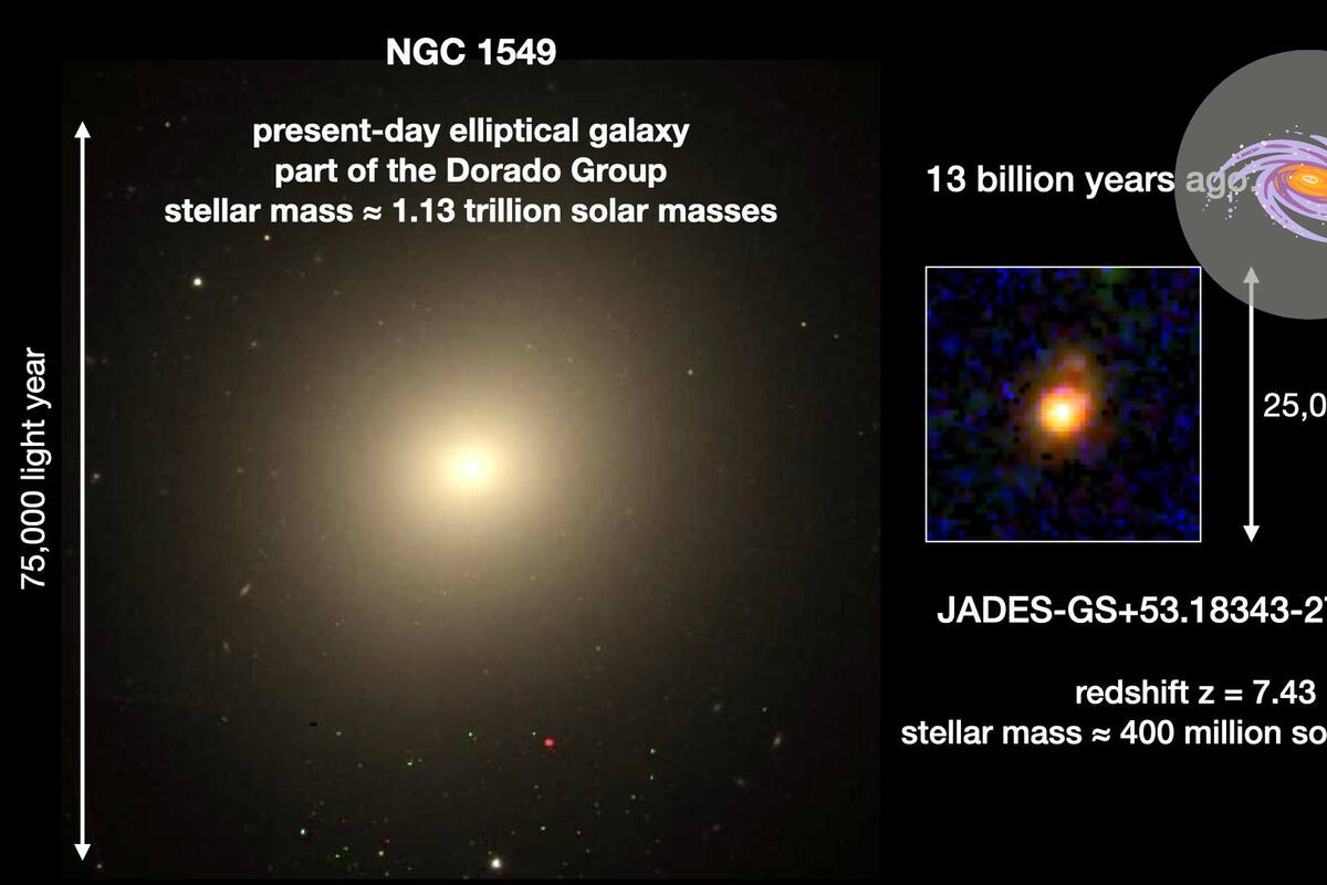 Telescopio espacial James Webb observa el crecimiento de una galaxia del universo primitivo