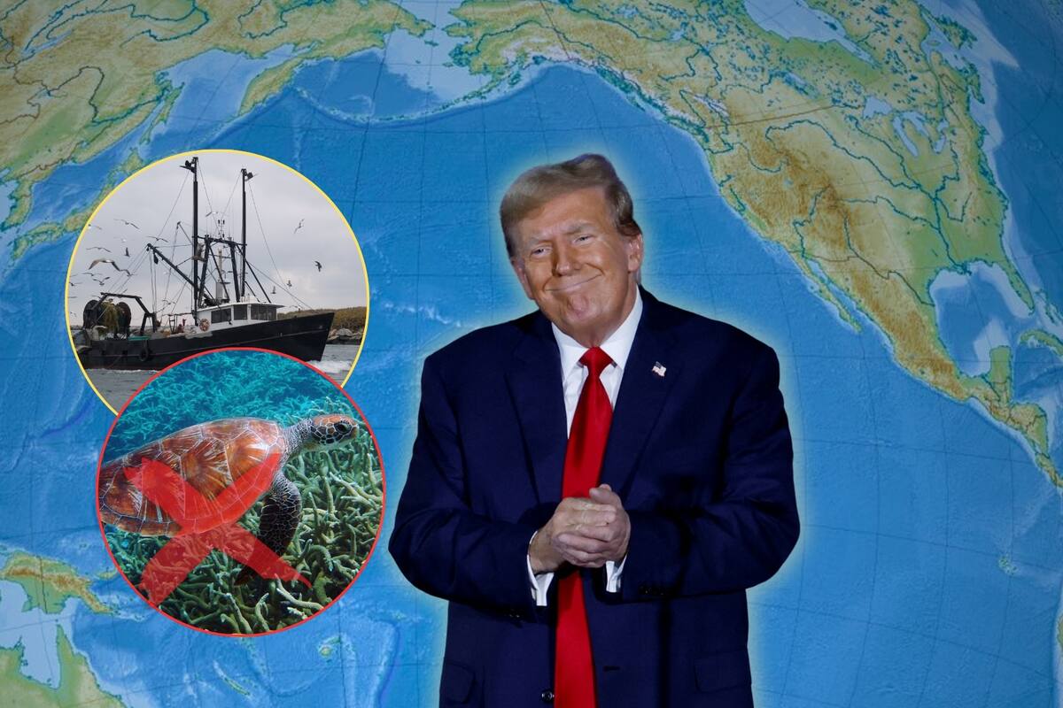 Donald Trump abre a la pesca comercial reserva marina protegida en el Pacífico para explotarla económicamente, a pesar de las advertencias de riesgos ambientales