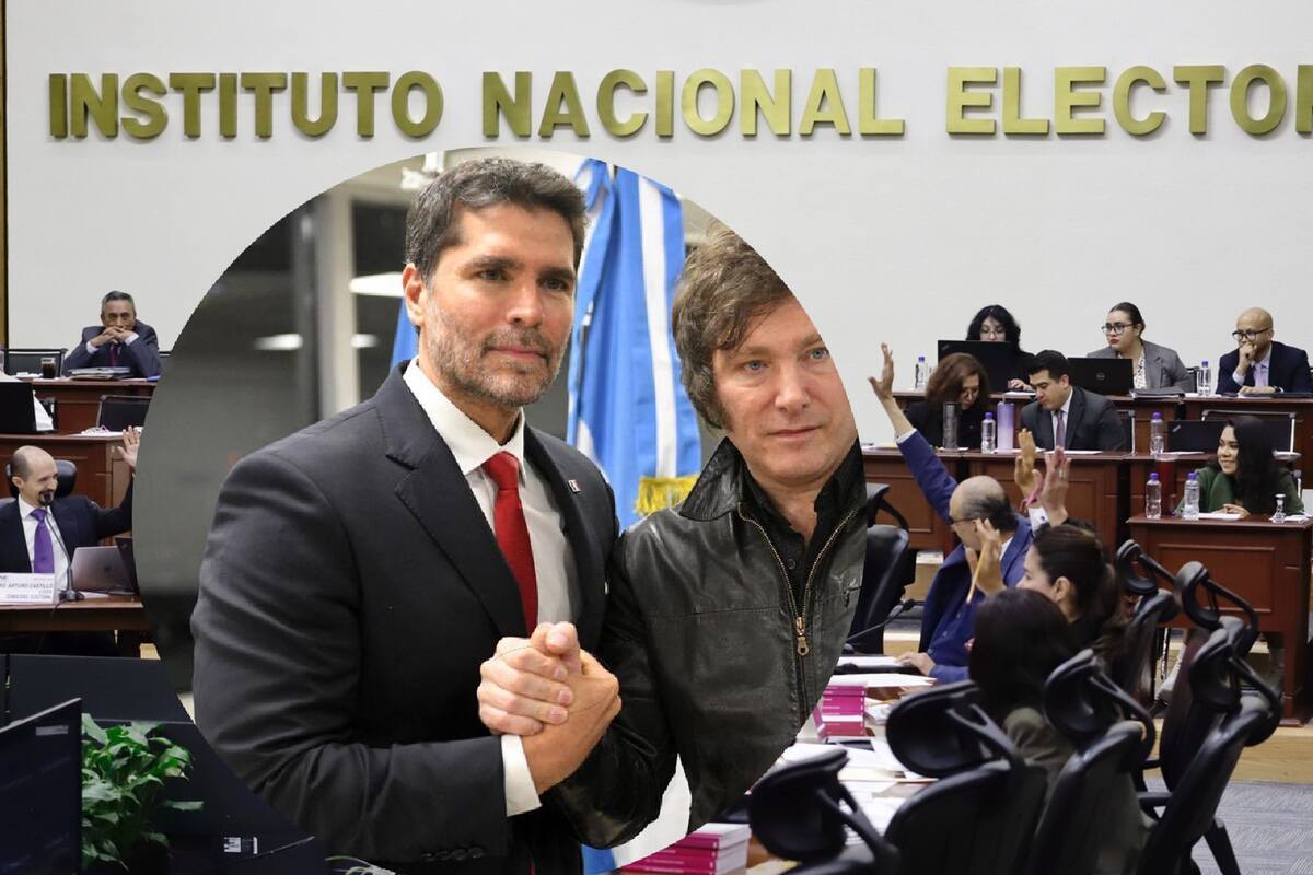 Candidaturas independientes a Presidencia de México no alcanzaron apoyos: INE