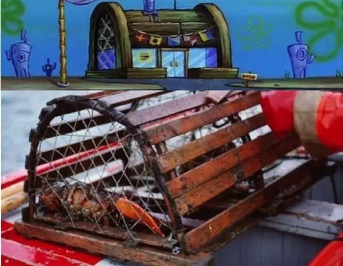 Crustáceo Cascarudo