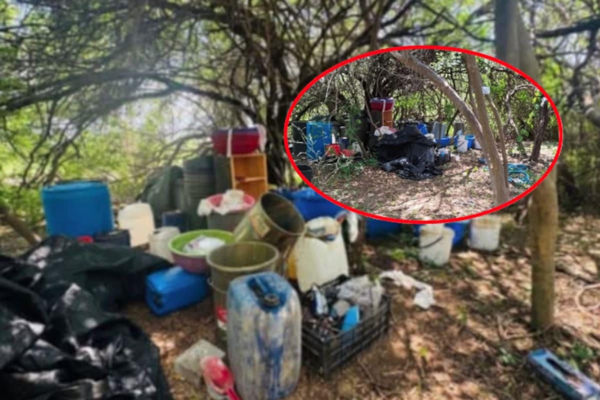 Destruyen centro de precursores químicos para drogas sintéticas en Culiacán: hallazgo en zona rural activa operativo federal