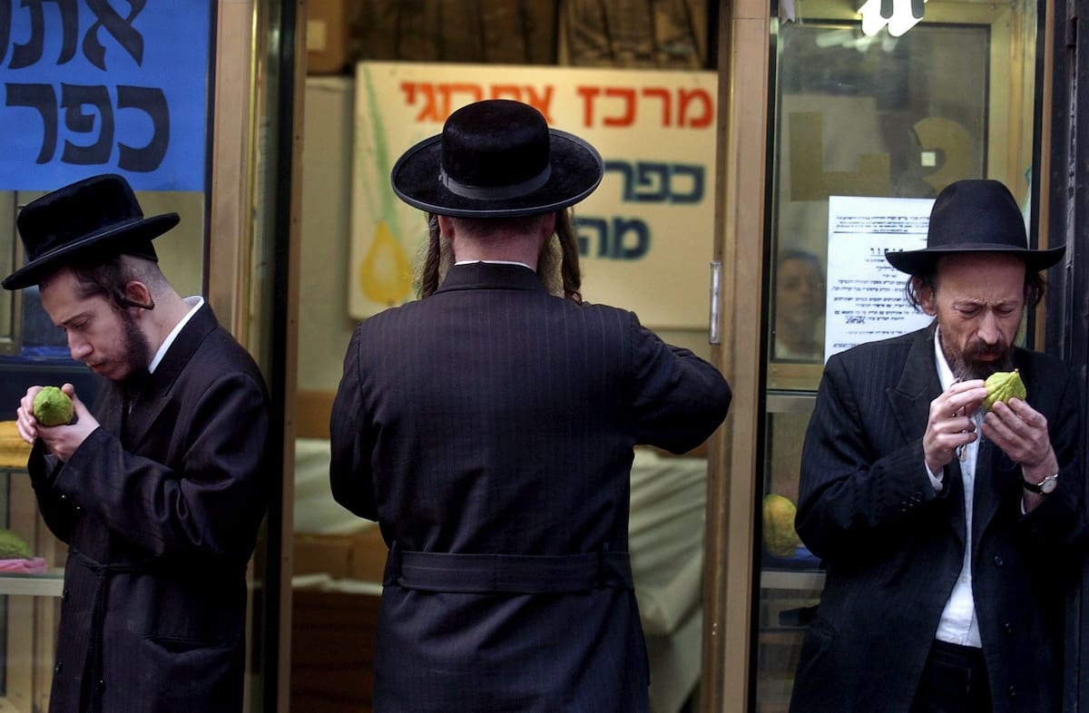 JER02 JERUSALÉN (ISRAEL). 09.10.05.- Unos judíos ultra-ortodoxos inspeccionan la piel de unos "etrog" o cítricos en busca de alguna imperfección mientras hacen la compra para reunir los ingredientes necesarios para celebrar la festividad religiosa del "Succot", en el barrio de Mea Shearim de Jerusalén (Israel), hoy domingo 9 de octubre. El "Succot" conmemora el éxodo de los judíos cuando tuvieron que abandonar Egipto, según figura en el Antiguo Testamento, y los fieles que rememoran esos días portan sus alimentos en un "succah" o compartimento cubierto con palmas. EFE/Pierre Terdjman
****PROHIBIDO SU USO EN ISRAEL****