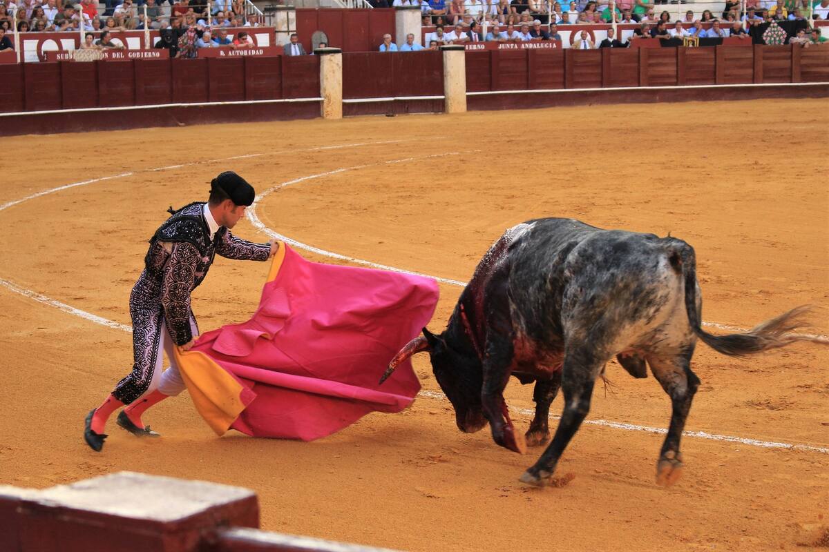 Unesco excluye a la tauromaquia como Patrimonio Cultural Inmaterial de la Humanidad