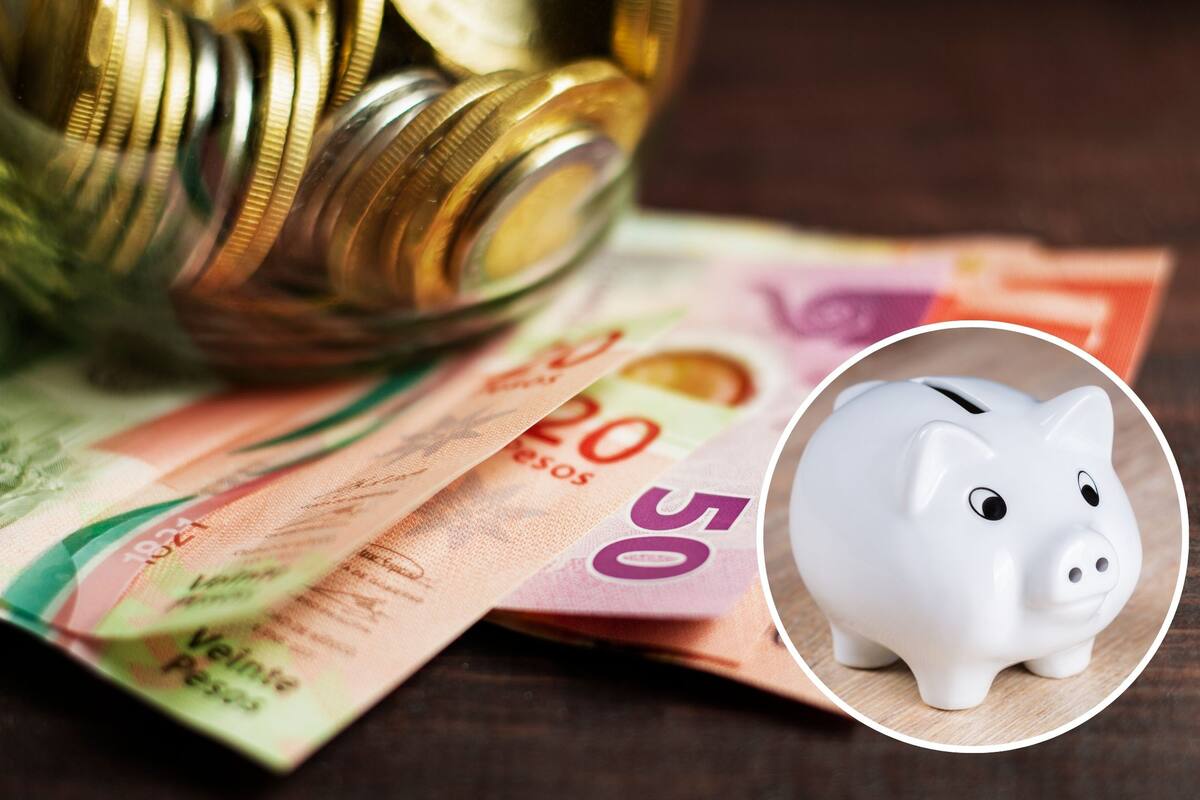 Conoce estas 10 ideas para generar ingresos pasivos, según financiero