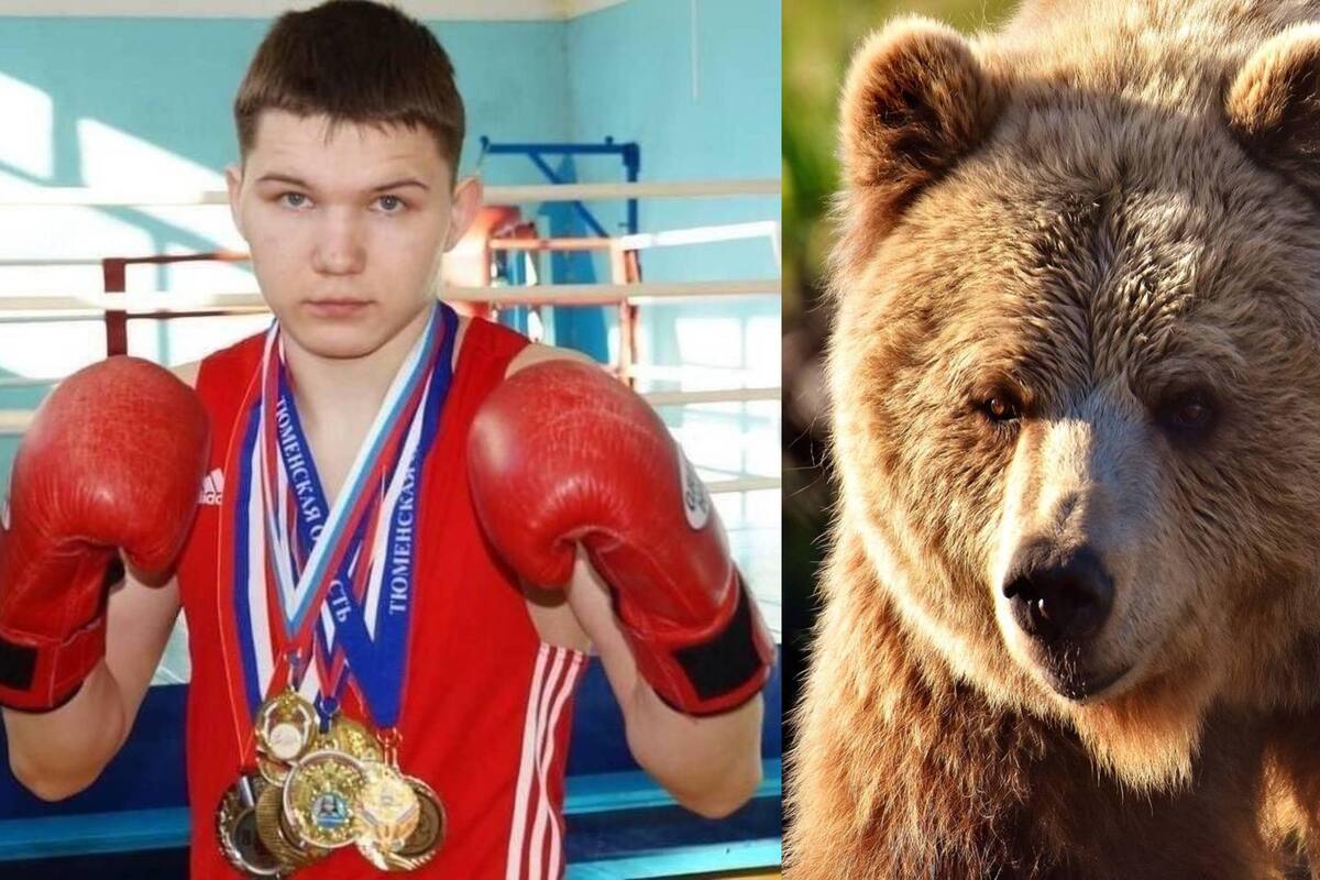 Así quedó el rostro de Ilyá Medvédev, boxeador ruso que lucho por su vida contra oso