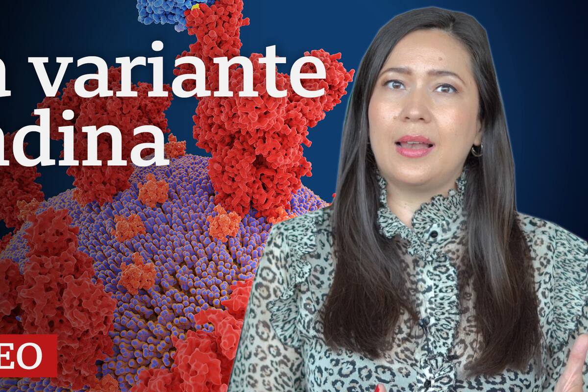 Coronavirus: qué se sabe de la variante lambda que circula en América Latina
