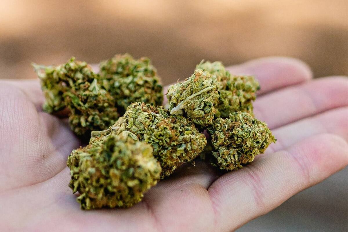 ¿Conoces los efectos del cannabis en la mente?