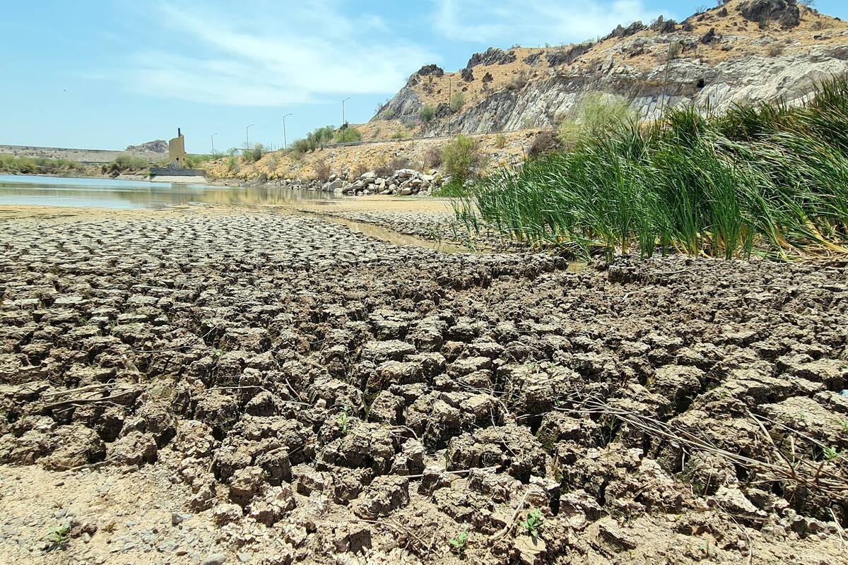 Clima en Sonora: Se pronostican lluvias de ligeras a fuertes