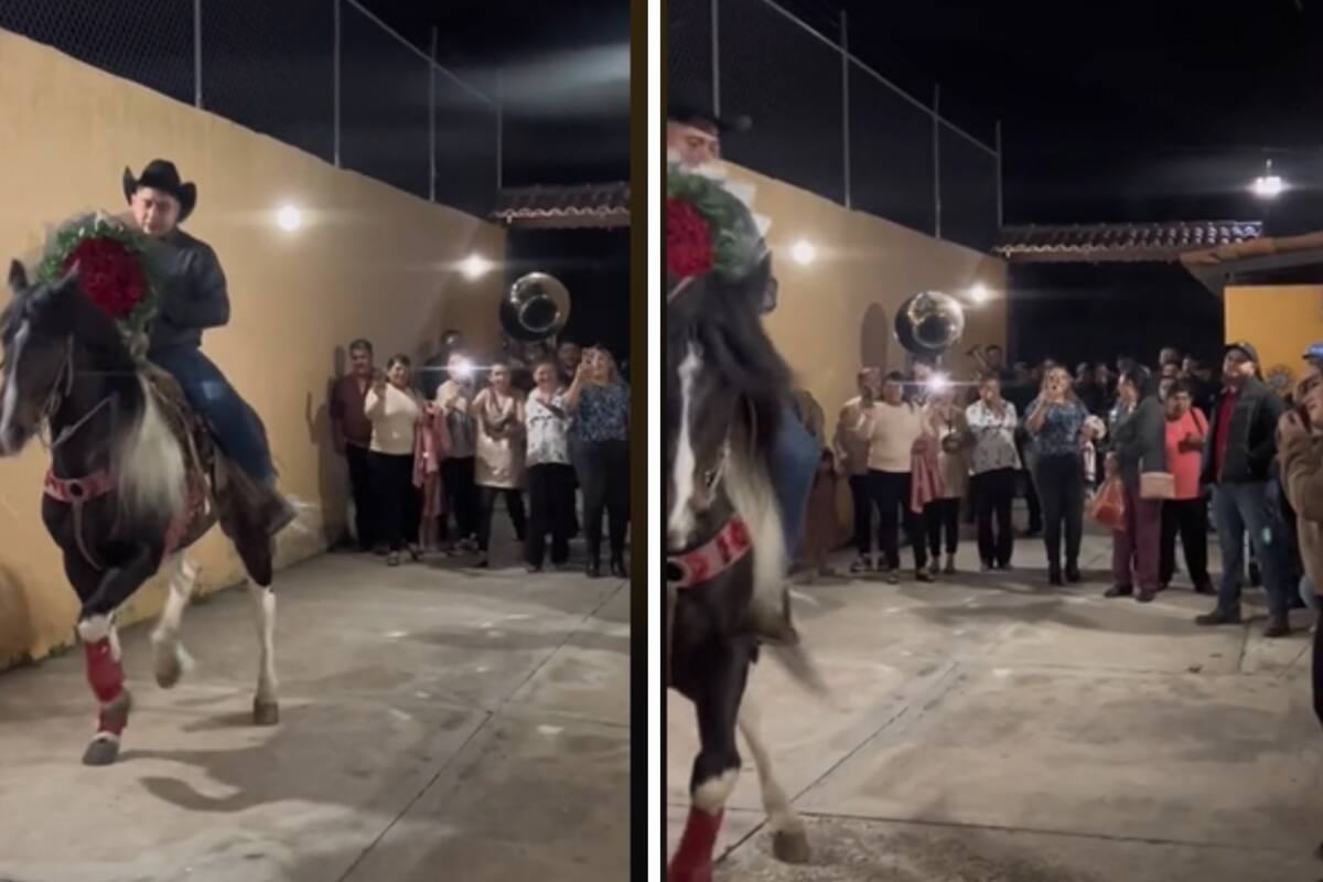 VIDEO: ¡Viva el amor! Novio llega a pedir matrimonio montado en un caballo