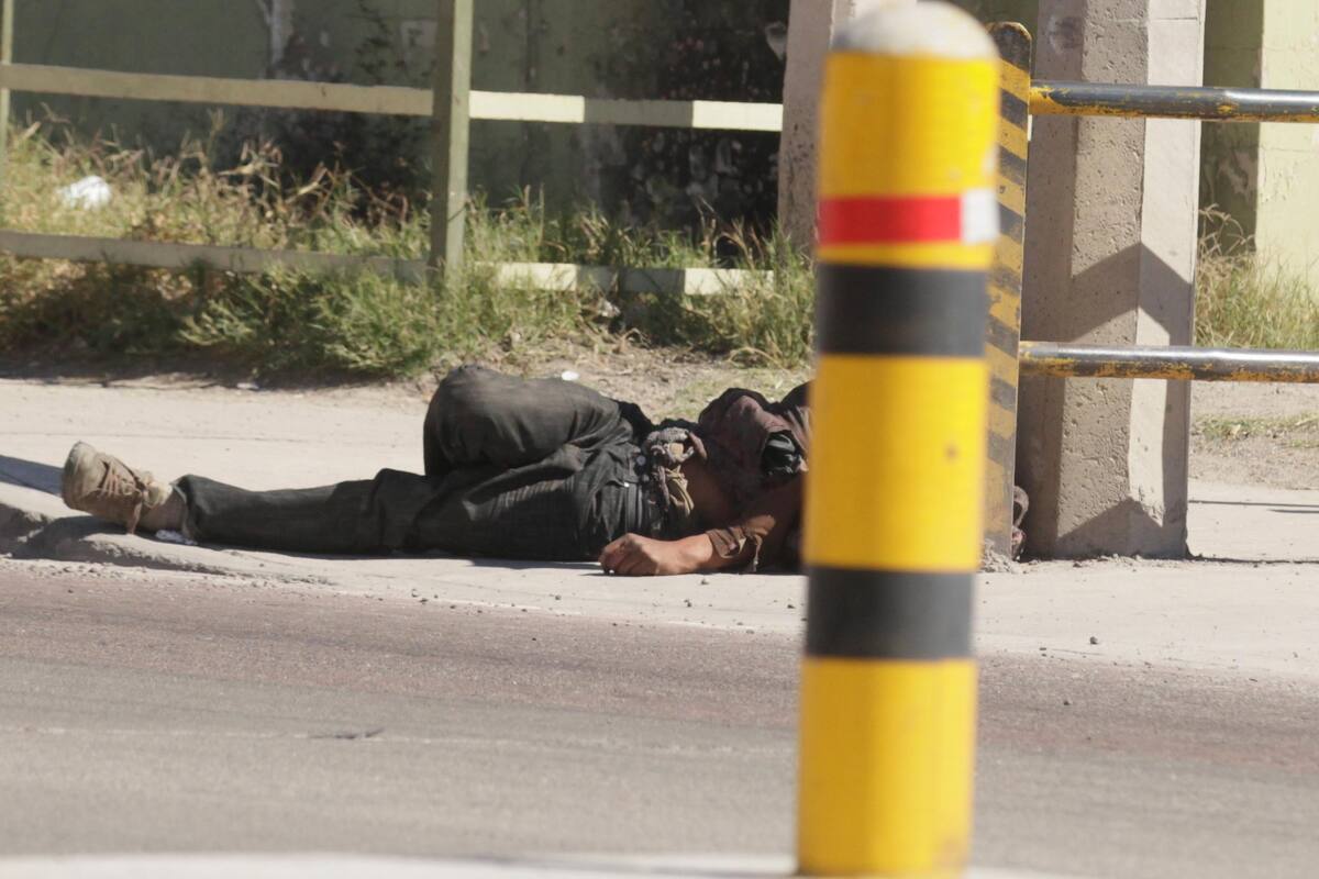 Investigan reporte de hombre que mató y comió a un perro