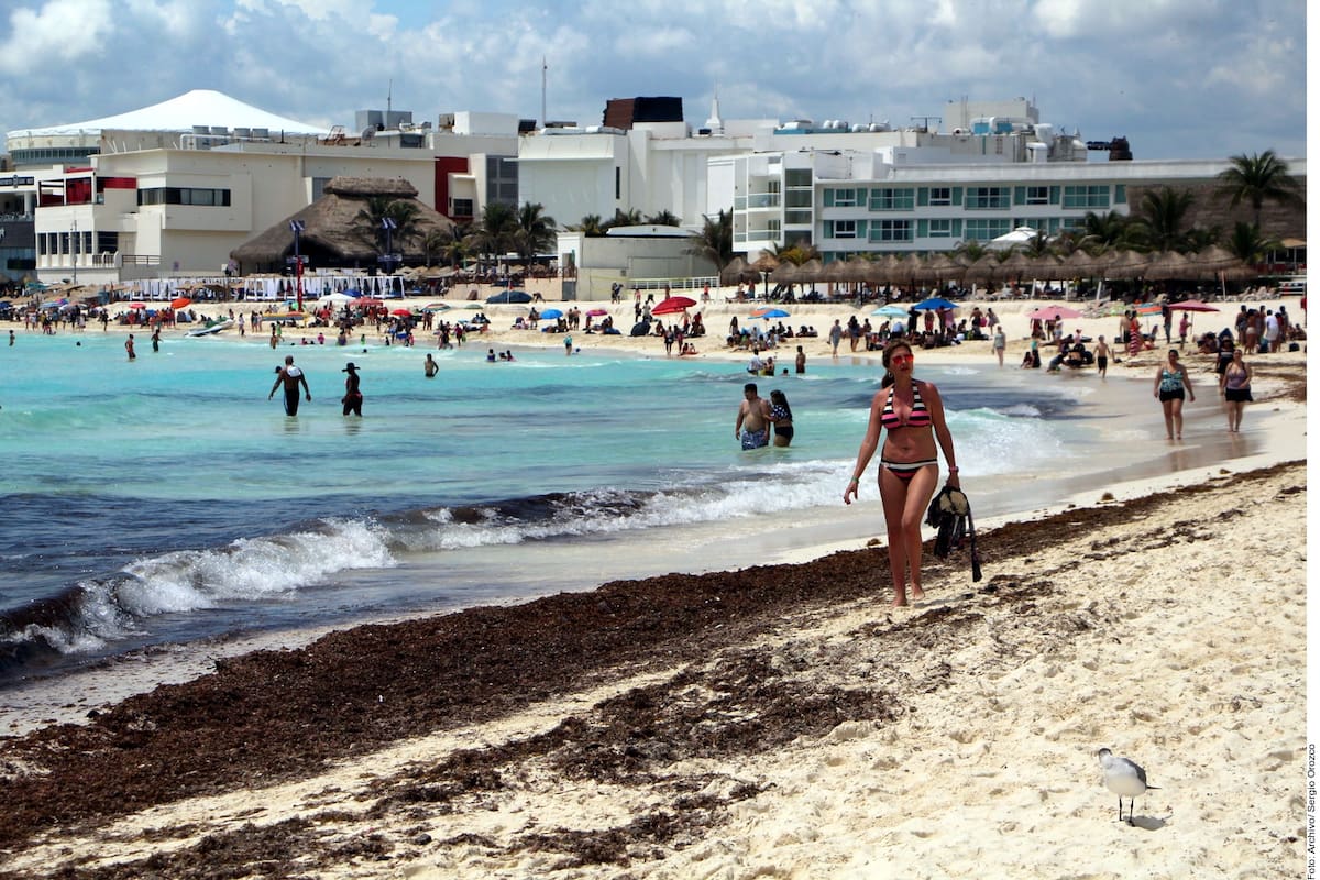 Elabora gabinete plan contra sargazo en playas de Quintana Roo
