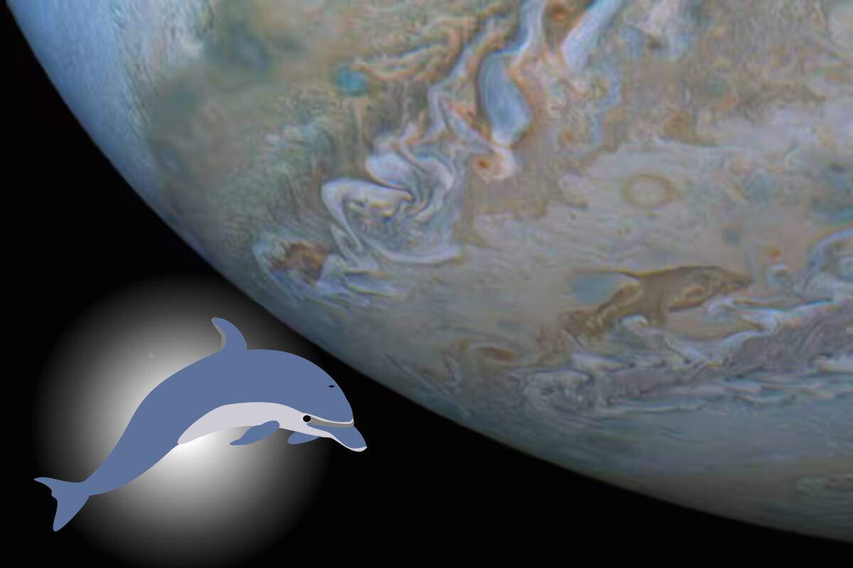Un “delfín” es fotografiado en las nubes de Júpiter por la NASA: ¿Qué es?