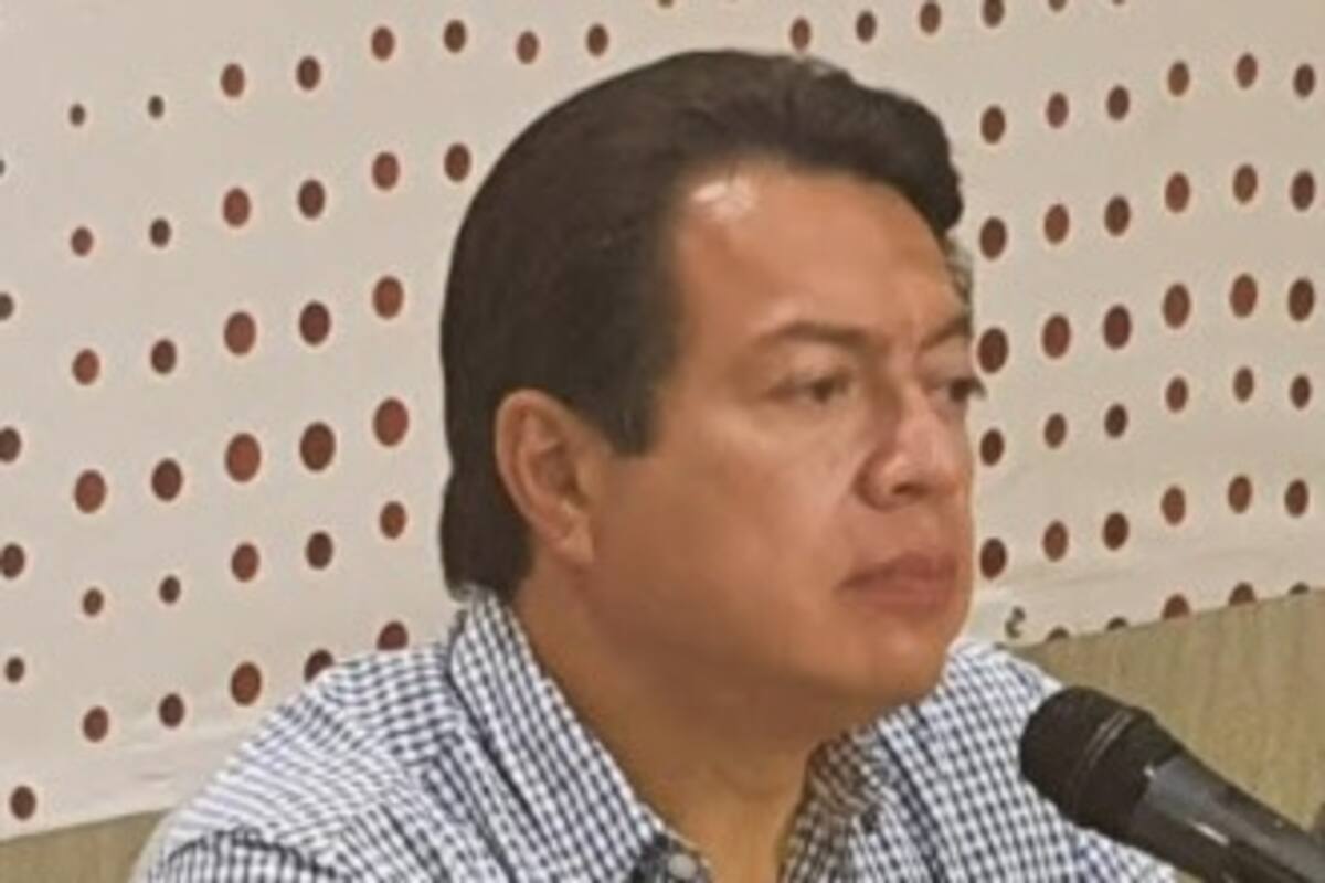 Busca Delgado continuidad y unión en Morena