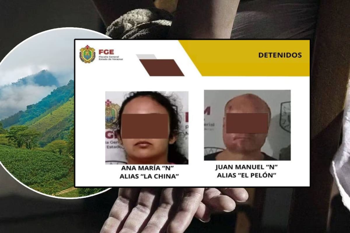Niño de 4 años fue secuestrado por su prima en Veracruz; revelan cómo lo planeó