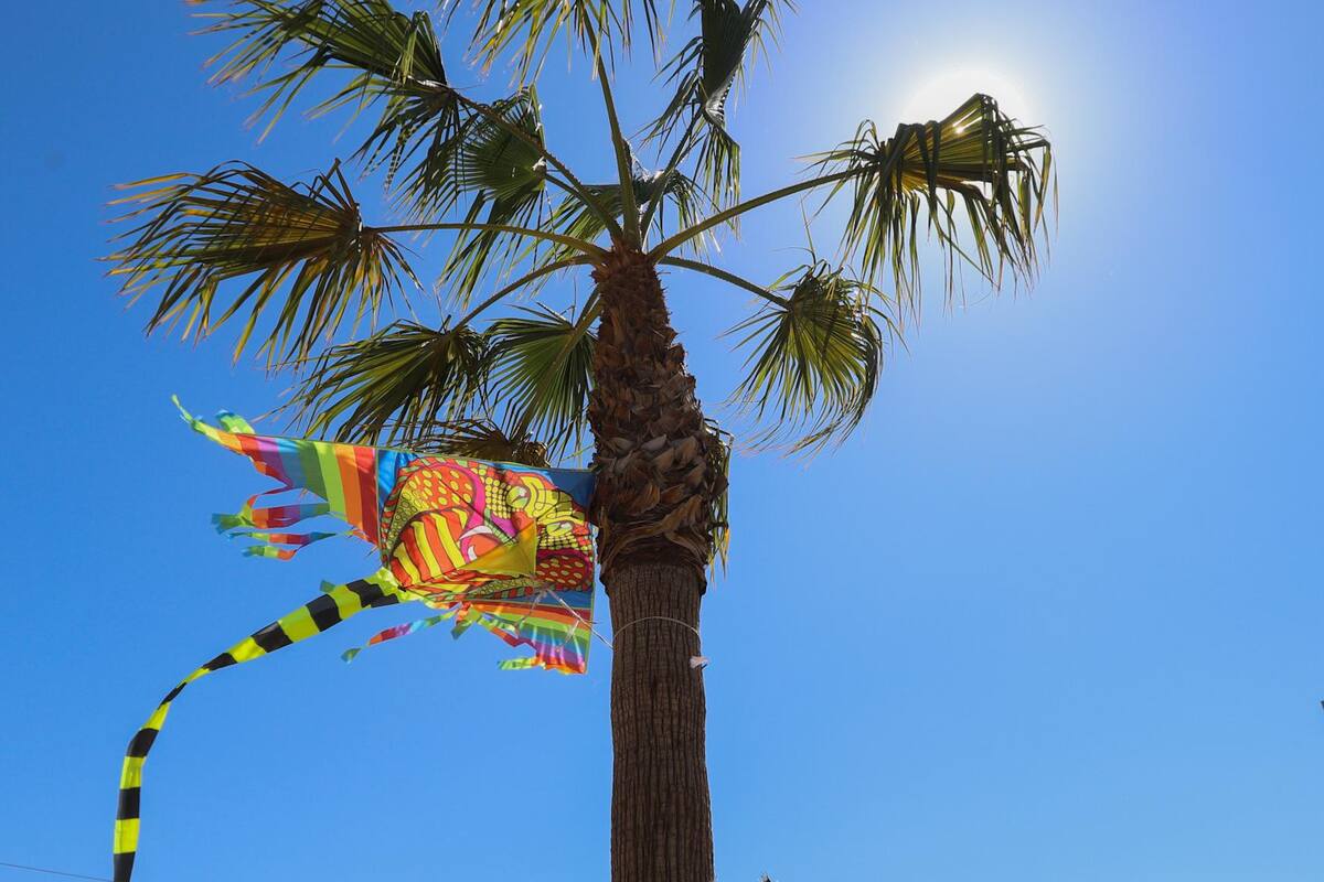 Clima Mexicali: Se espera día soleado