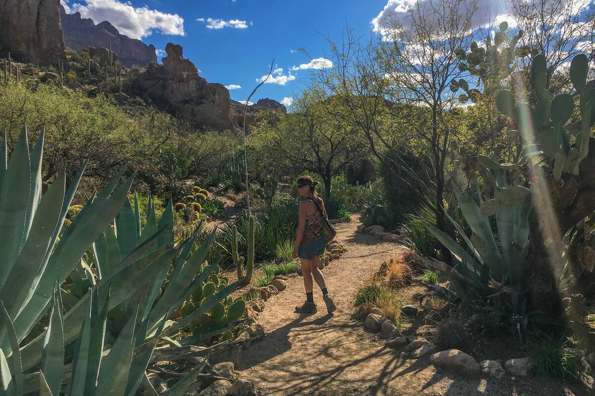 Maravillas de primavera en parques de Arizona