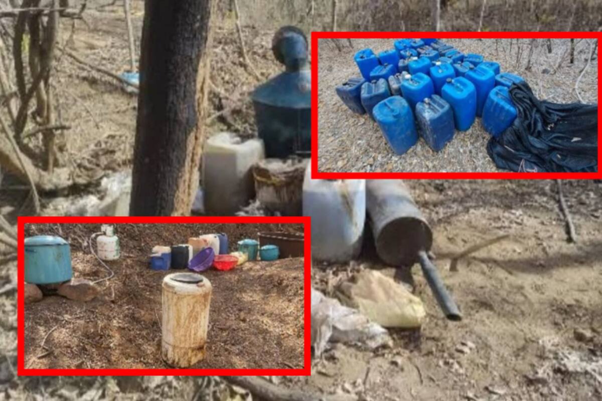Autoridades continúan desmantelando ahora otros 8 laboratorios clandestinos en Culiacán y Cosalá