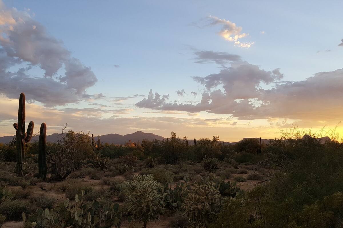 Clima en Sonora: ¡Temperaturas frías y tolvaneras! Se prevén este martes para la sierra sonorense